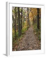 Trail to Great Bear and Little Bear Mound, Effigy Mounds National Monument, Iowa, USA-Jamie & Judy Wild-Framed Photographic Print