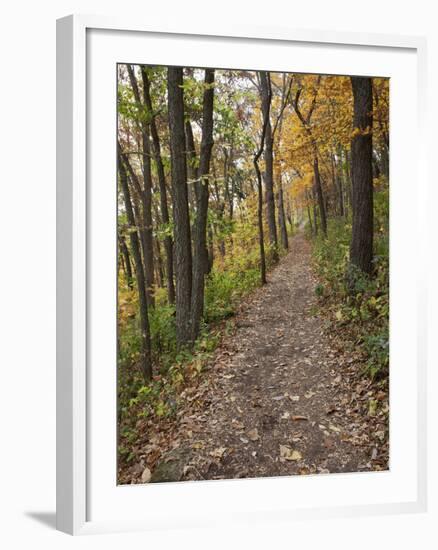 Trail to Great Bear and Little Bear Mound, Effigy Mounds National Monument, Iowa, USA-Jamie & Judy Wild-Framed Photographic Print