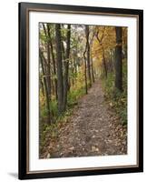 Trail to Great Bear and Little Bear Mound, Effigy Mounds National Monument, Iowa, USA-Jamie & Judy Wild-Framed Photographic Print