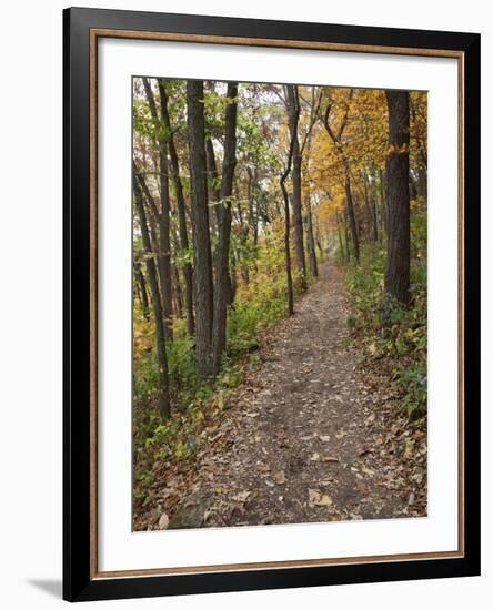 Trail to Great Bear and Little Bear Mound, Effigy Mounds National Monument, Iowa, USA-Jamie & Judy Wild-Framed Photographic Print