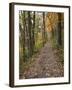 Trail to Great Bear and Little Bear Mound, Effigy Mounds National Monument, Iowa, USA-Jamie & Judy Wild-Framed Photographic Print