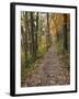 Trail to Great Bear and Little Bear Mound, Effigy Mounds National Monument, Iowa, USA-Jamie & Judy Wild-Framed Photographic Print