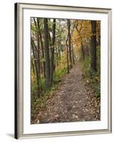 Trail to Great Bear and Little Bear Mound, Effigy Mounds National Monument, Iowa, USA-Jamie & Judy Wild-Framed Photographic Print