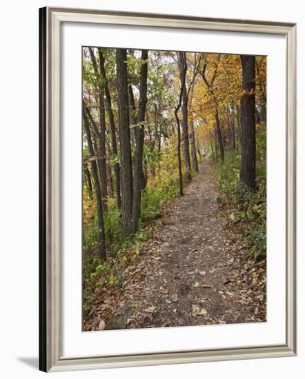 Trail to Great Bear and Little Bear Mound, Effigy Mounds National Monument, Iowa, USA-Jamie & Judy Wild-Framed Photographic Print