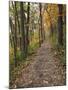 Trail to Great Bear and Little Bear Mound, Effigy Mounds National Monument, Iowa, USA-Jamie & Judy Wild-Mounted Photographic Print