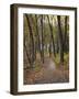 Trail to Great Bear and Little Bear Mound, Effigy Mounds National Monument, Iowa, USA-Jamie & Judy Wild-Framed Photographic Print