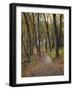 Trail to Great Bear and Little Bear Mound, Effigy Mounds National Monument, Iowa, USA-Jamie & Judy Wild-Framed Photographic Print