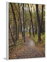 Trail to Great Bear and Little Bear Mound, Effigy Mounds National Monument, Iowa, USA-Jamie & Judy Wild-Framed Photographic Print