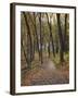 Trail to Great Bear and Little Bear Mound, Effigy Mounds National Monument, Iowa, USA-Jamie & Judy Wild-Framed Photographic Print