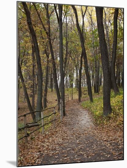 Trail to Great Bear and Little Bear Mound, Effigy Mounds National Monument, Iowa, USA-Jamie & Judy Wild-Mounted Photographic Print