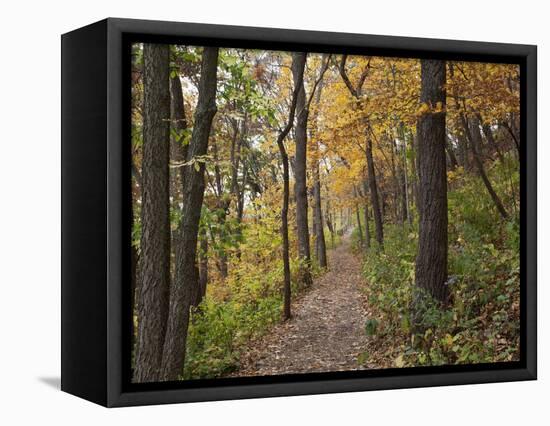 Trail to Great Bear and Little Bear Mound, Effigy Mounds National Monument, Iowa, USA-Jamie & Judy Wild-Framed Stretched Canvas
