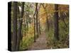 Trail to Great Bear and Little Bear Mound, Effigy Mounds National Monument, Iowa, USA-Jamie & Judy Wild-Stretched Canvas