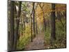 Trail to Great Bear and Little Bear Mound, Effigy Mounds National Monument, Iowa, USA-Jamie & Judy Wild-Mounted Photographic Print