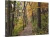 Trail to Great Bear and Little Bear Mound, Effigy Mounds National Monument, Iowa, USA-Jamie & Judy Wild-Stretched Canvas