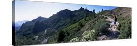 Trail to Roque Nublo, Gran Canaria, Canary Islands, Spain, Europe-Kim Hart-Stretched Canvas