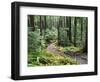 Trail to Soleduc Falls, Olympic National Park, Washington, USA-Charles Sleicher-Framed Photographic Print