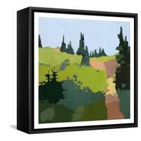Trail to The Top-Anne Becker-Framed Stretched Canvas