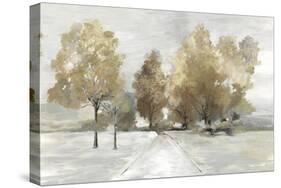 Trail Under the Trees-Allison Pearce-Stretched Canvas