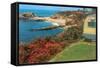 Trailer by the Sea-null-Framed Stretched Canvas