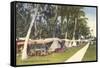 Trailer Campground, Florida-null-Framed Stretched Canvas