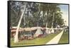 Trailer Campground, Florida-null-Framed Stretched Canvas