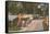 Trailer Park, Florida-null-Framed Stretched Canvas