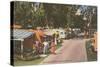 Trailer Park, Florida-null-Stretched Canvas