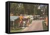 Trailer Park, Florida-null-Framed Stretched Canvas