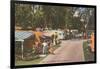 Trailer Park, Florida-null-Framed Art Print