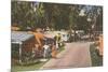 Trailer Park, Florida-null-Mounted Premium Giclee Print