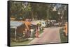 Trailer Park, Florida-null-Framed Stretched Canvas