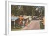 Trailer Park, Florida-null-Framed Art Print