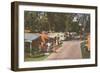 Trailer Park, Florida-null-Framed Art Print