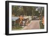 Trailer Park, Florida-null-Framed Art Print