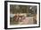 Trailer Park, Florida-null-Framed Art Print