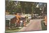 Trailer Park, Florida-null-Mounted Art Print