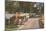 Trailer Park, Florida-null-Mounted Art Print