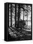 Trailer Park in Yellowstone National Park-Alfred Eisenstaedt-Framed Stretched Canvas