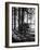 Trailer Park in Yellowstone National Park-Alfred Eisenstaedt-Framed Photographic Print