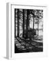 Trailer Park in Yellowstone National Park-Alfred Eisenstaedt-Framed Photographic Print