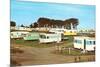 Trailer Park-null-Mounted Premium Giclee Print