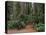 Trailhead into Redwood Forest-James Randklev-Stretched Canvas