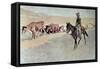 Trailing Texas Longhorns-Frederic Sackrider Remington-Framed Stretched Canvas