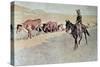 Trailing Texas Longhorns-Frederic Sackrider Remington-Stretched Canvas