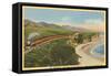 Train along California Coast-null-Framed Stretched Canvas