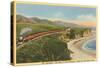 Train along California Coast-null-Stretched Canvas