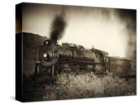 Train Arrival I-David Drost-Stretched Canvas