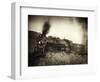 Train Arrival I-David Drost-Framed Photographic Print