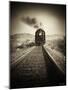 Train Arrival II-David Drost-Mounted Photographic Print