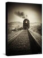 Train Arrival II-David Drost-Stretched Canvas